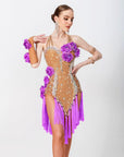 3D Roses Fringe Crystalline Latin Dress Latin/Rhythm