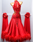 Sleeveless Crystalline Ostrich Feather Ballroom Dress Standard/Smooth