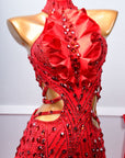 Sleeveless Crystalline Ostrich Feather Ballroom Dress Standard/Smooth