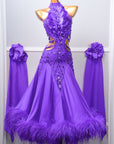 Sleeveless Crystalline Ostrich Feather Ballroom Dress Standard/Smooth