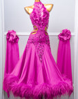 Sleeveless Crystalline Ostrich Feather Ballroom Dress Standard/Smooth