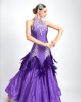 Water Drop Crystal Feather Ballroom Dress Standard/Smooth