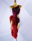 Beaded & Ostrich Feather Latin Dress Latin/Rhythm