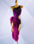 Beaded & Ostrich Feather Latin Dress Latin/Rhythm