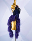 Beaded & Ostrich Feather Latin Dress Latin/Rhythm