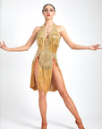 Chrisanne Shine Lycra Fringe Crystalline Latin Dress Latin/Rhythm