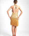 Chrisanne Shine Lycra Fringe Crystalline Latin Dress Latin/Rhythm