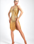 Chrisanne Shine Lycra Fringe Crystalline Latin Dress Latin/Rhythm
