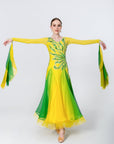 Color Contrast Crystalline Ballroom Dress Standard/Smooth