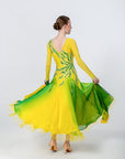 Color Contrast Crystalline Ballroom Dress Standard/Smooth