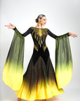 Contrast Color Crystallized Ballroom Dress Standard/Smooth