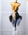 Crystalline Beaded Ostrich Feather Latin Dress Latin/Rhythm