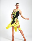 Crystalline Fluorescent Stone Fringe Latin Dress Latin/Rhythm