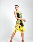 Crystalline Fluorescent Stone Fringe Latin Dress Latin/Rhythm