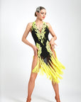 Crystalline Fluorescent Stone Fringe Latin Dress Latin/Rhythm