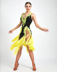 Crystalline Fluorescent Stone Fringe Latin Dress Latin/Rhythm