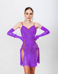 Crystalline Fringe Latin Dress Latin/Rhythm