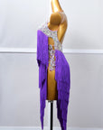 Crystalline Fringe Latin Dress Latin/Rhythm