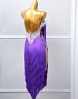 Crystalline Fringe Latin Dress Latin/Rhythm