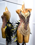 Crystalline Leopard Print Latin Feather Dress Latin/Rhythm