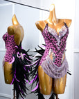 Crystalline Leopard Print Latin Feather Dress Latin/Rhythm