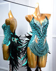 Crystalline Leopard Print Latin Feather Dress Latin/Rhythm