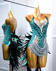 Crystalline Leopard Print Latin Feather Dress Latin/Rhythm