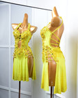Crystalline sleeveless Latin Dress Latin/Rhythm
