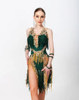 Crystallized Net Beaded Fringe Latin Dress Latin/Rhythm