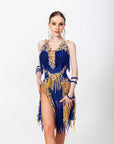 Crystallized Net Beaded Fringe Latin Dress Latin/Rhythm