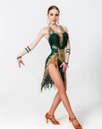 Crystallized Net Beaded Fringe Latin Dress Latin/Rhythm