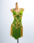 Golden Line Crystallized Fringe Latin Dress Latin/Rhythm
