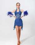 Stretch Net Ostrich Feather Latin Dress Latin/Rhythm