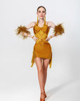 Stretch Net Ostrich Feather Latin Dress Latin/Rhythm