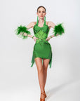 Stretch Net Ostrich Feather Latin Dress Latin/Rhythm