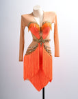 Long - sleeves Crystalline Fringe Latin Dress Latin/Rhythm