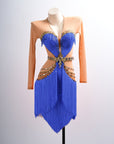 Long - sleeves Crystalline Fringe Latin Dress Latin/Rhythm