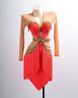 Long - sleeves Crystalline Fringe Latin Dress Latin/Rhythm