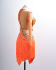 Long - sleeves Crystalline Fringe Latin Dress Latin/Rhythm