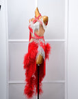One - shoulder Ostrich Feather Crystalline Latin Dress Latin/Rhythm