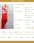 One - shoulder Ostrich Feather Crystalline Latin Dress Latin/Rhythm