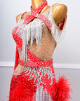 One - shoulder Ostrich Feather Crystalline Latin Dress Latin/Rhythm