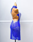 One - sleeve Beaded Crystalline Latin Dress Latin/Rhythm