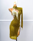 One - sleeve Beaded Crystalline Latin Dress Latin/Rhythm