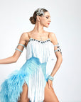 Ostrich Feather Crystalline Fringe Latin Dress Latin/Rhythm