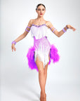 Ostrich Feather Crystalline Fringe Latin Dress Latin/Rhythm