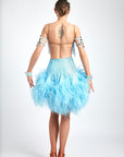 Ostrich Feather Crystalline Fringe Latin Dress Latin/Rhythm