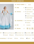 Ostrich Feathers crystallized Ballroom Dress Standard/Smooth
