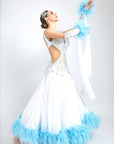 Ostrich Feathers crystallized Ballroom Dress Standard/Smooth