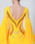 Pleated Skirt Crystallized Ballroom Dress Standard/Smooth
